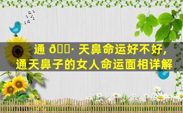 通 🌷 天鼻命运好不好,通天鼻子的女人命运面相详解
